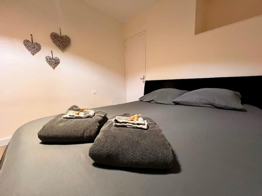 Appartement Climatise 4Prsn Au Pied De La Citadelle Besancon Luaran gambar