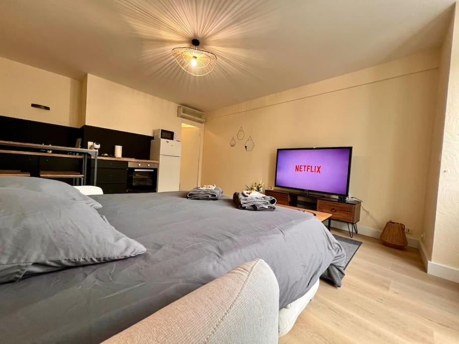 Appartement Climatise 4Prsn Au Pied De La Citadelle Besancon Luaran gambar